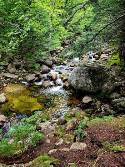 Step Falls Hiking Trail Mahoosuc Land Trust - Newry, ME