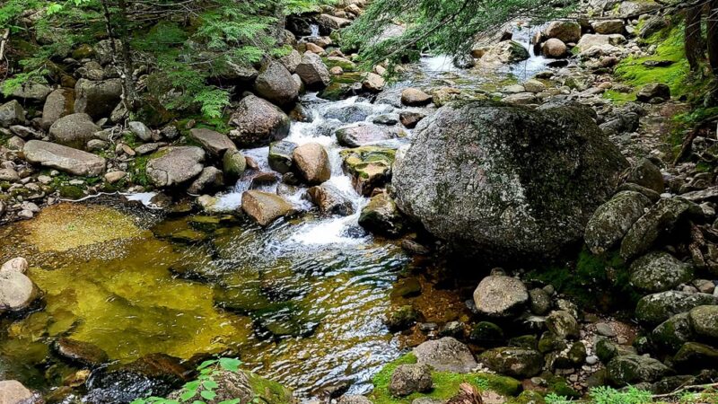 Step Falls Hiking Trail Mahoosuc Land Trust - Newry, ME