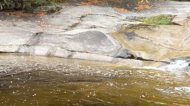 Step Falls Preserve Mahoosuc Land Trust - Newry, ME
