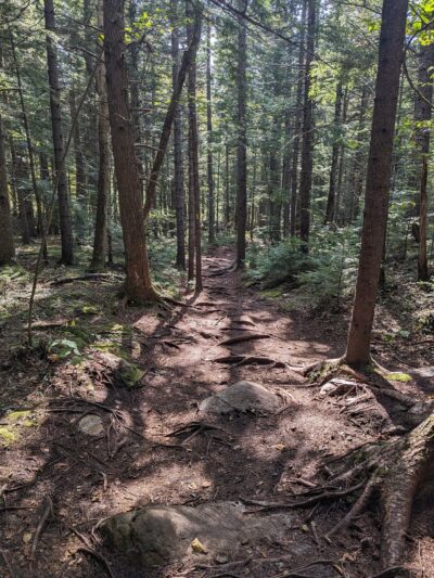 Step Falls Preserve Mahoosuc Land Trust - Newry, ME