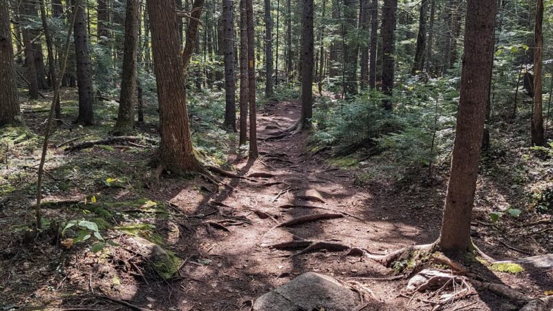 Step Falls Preserve Mahoosuc Land Trust - Newry, ME