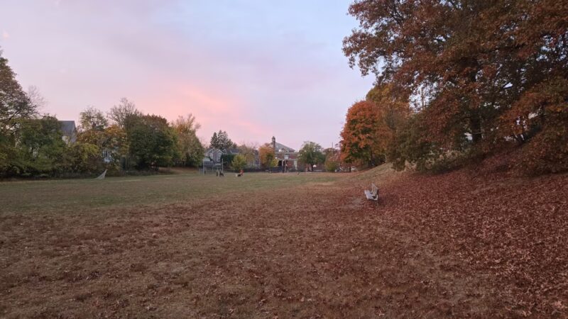 Boyd Park - Newton, MA