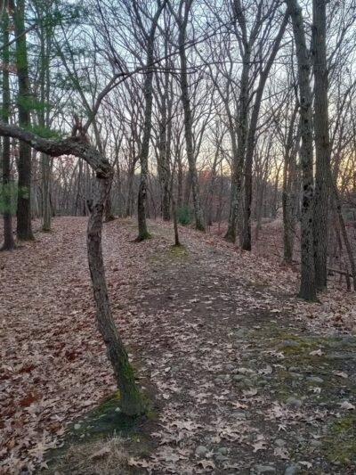 Edmands Park - Newton, MA