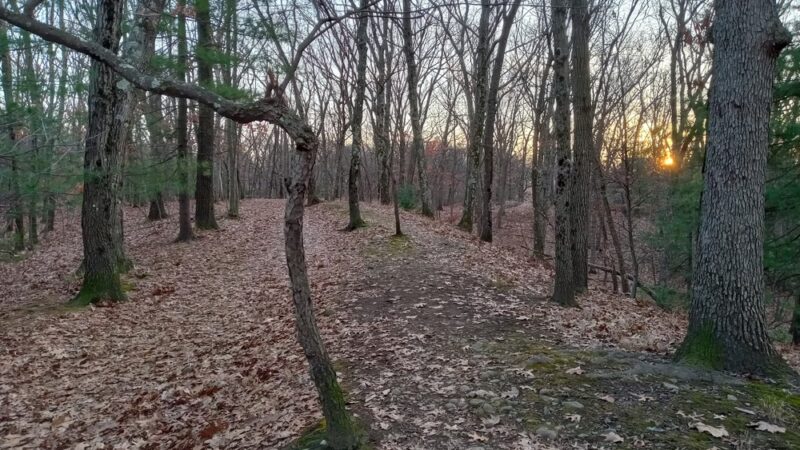 Edmands Park - Newton, MA