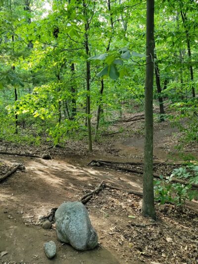 Edmands Park - Newton, MA