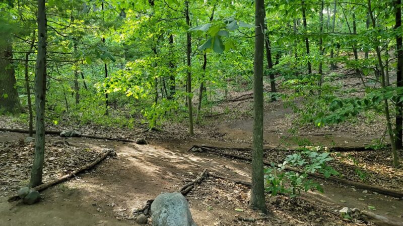 Edmands Park - Newton, MA