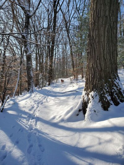 Edmands Park - Newton, MA