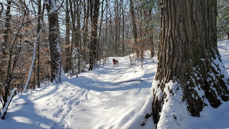 Edmands Park - Newton, MA