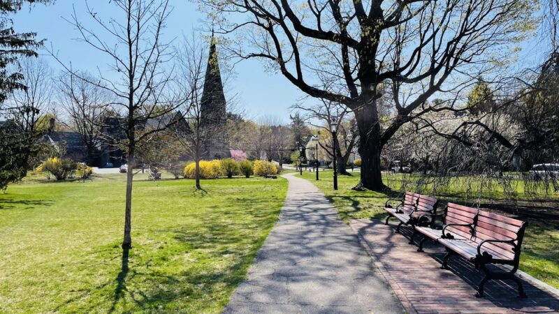 Farlow Park - Newton, MA