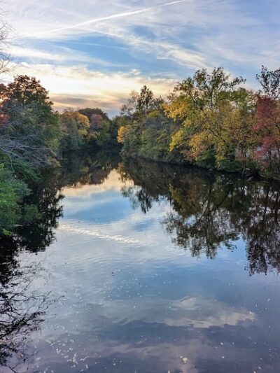 Forte Park - Newton, MA
