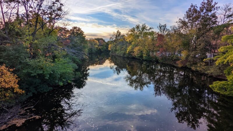 Forte Park - Newton, MA