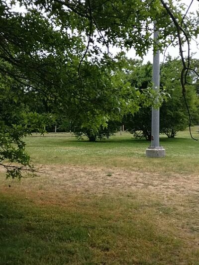 Forte Park - Newton, MA