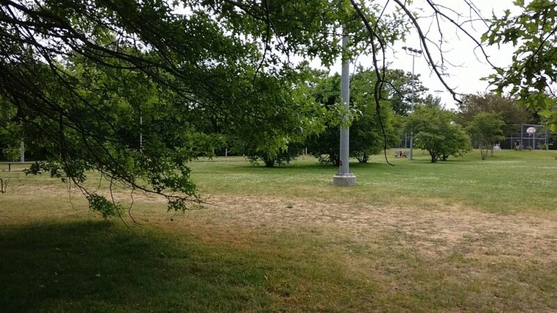 Forte Park - Newton, MA