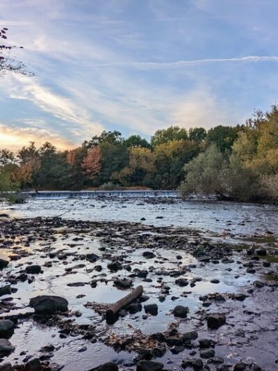 Forte Park - Newton, MA