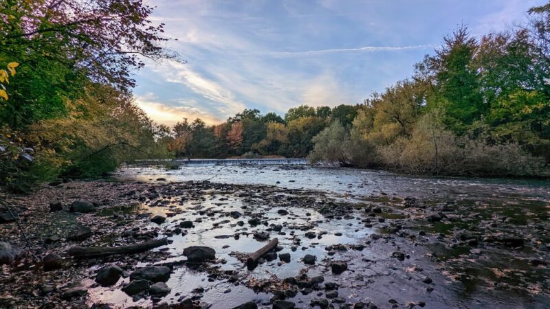 Forte Park - Newton, MA