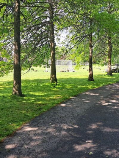 Forte Park - Newton, MA