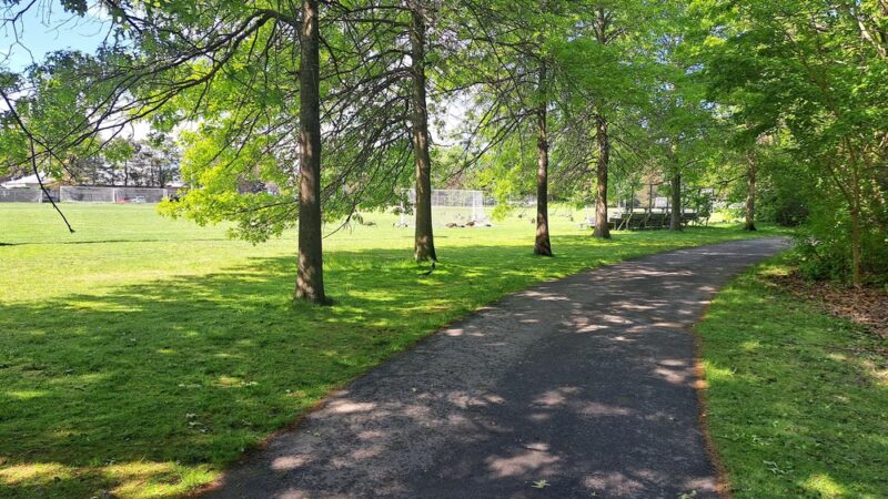 Forte Park - Newton, MA