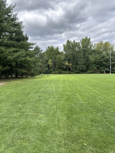 Forte Park - Newton, MA