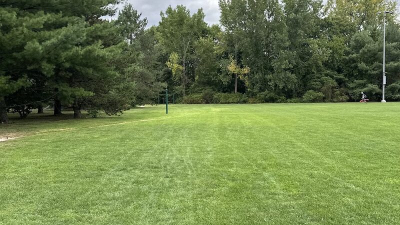 Forte Park - Newton, MA