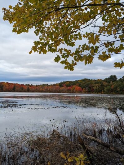 Hammond Pond Reservation - Newton, MA