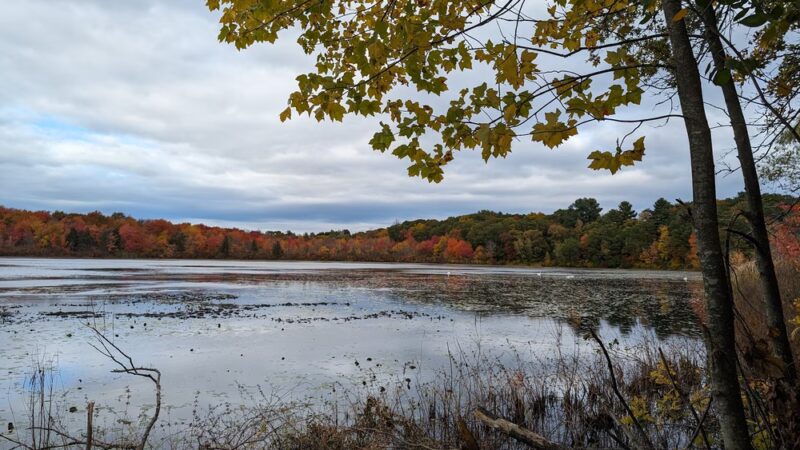 Hammond Pond Reservation - Newton, MA