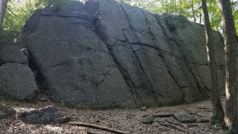 Hammond Pond Reservation - Newton, MA