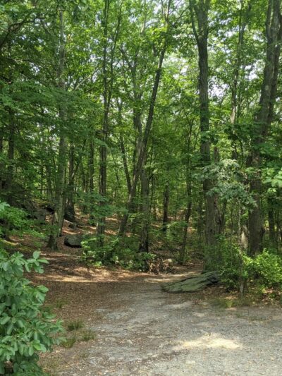 Hammond Pond Reservation - Newton, MA