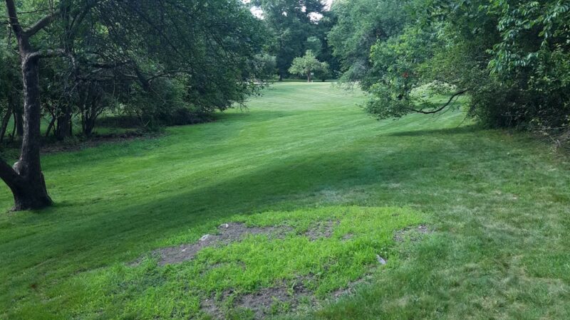 Kennard Park - Newton, MA