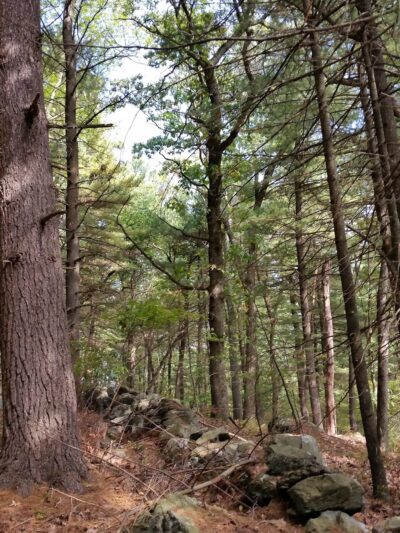 Kennard Park - Newton, MA