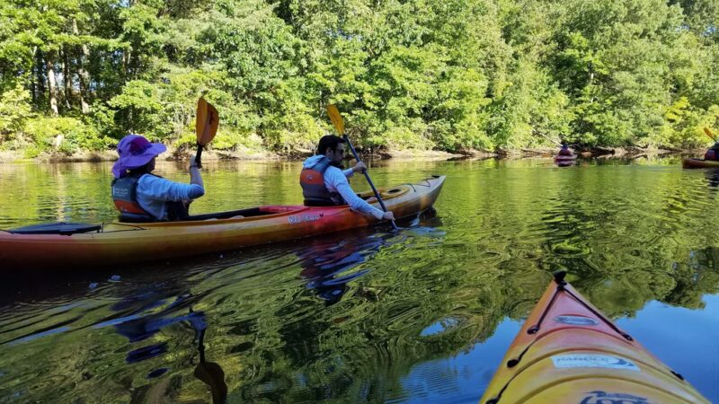 Nahanton Park - Newton, MA