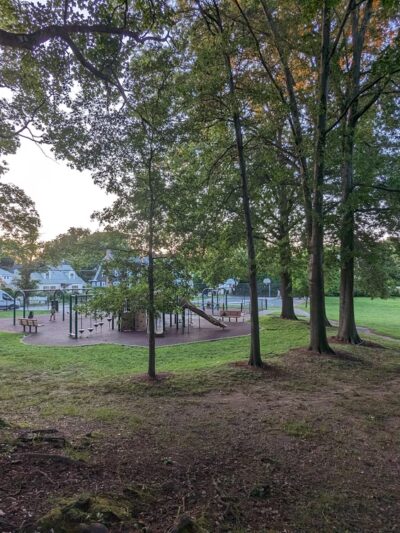 Stearns Park - Newton, MA