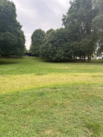 Stearns Park - Newton, MA