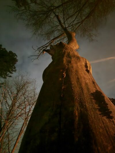 Walker Park - Newton, MA