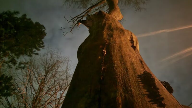 Walker Park - Newton, MA