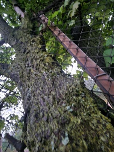 Walker Park - Newton, MA