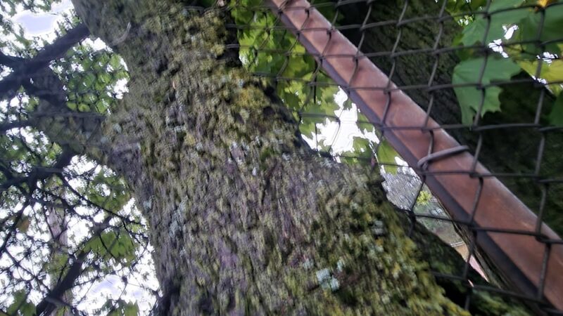 Walker Park - Newton, MA