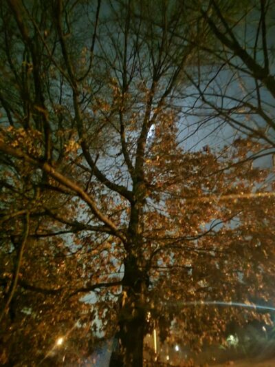 Walker Park - Newton, MA