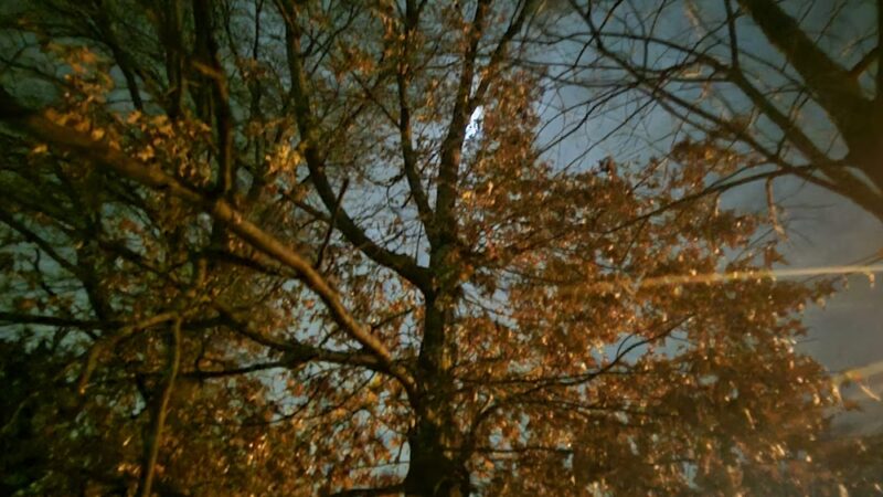 Walker Park - Newton, MA