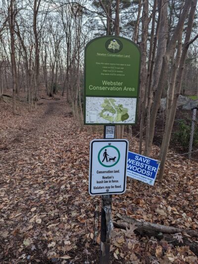 Webster Park - Newton, MA