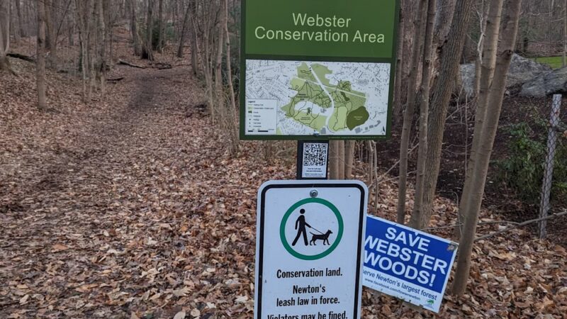 Webster Park - Newton, MA