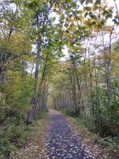 Paulinskill River Wildlife Management Area - Newton, NJ