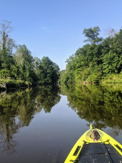 Paulinskill River Wildlife Management Area - Newton, NJ