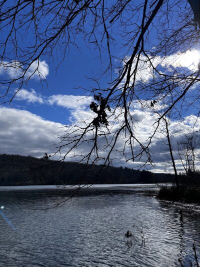 Paulinskill River Wildlife Management Area - Newton, NJ
