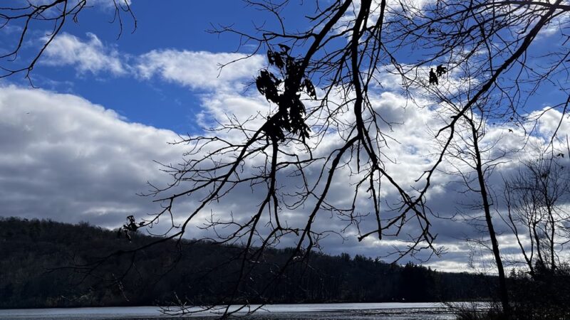 Paulinskill River Wildlife Management Area - Newton, NJ