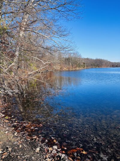 Paulinskill River Wildlife Management Area - Newton, NJ