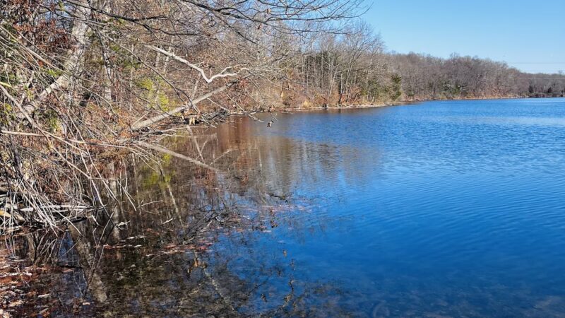 Paulinskill River Wildlife Management Area - Newton, NJ