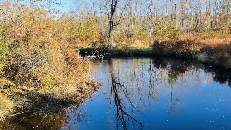Paulinskill River Wildlife Management Area - Newton, NJ