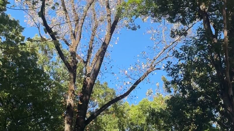 Ridley Creek State Park - Area 3 Pavilion - Newtown Square, PA