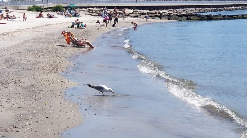 Hole In The Wall Beach - Niantic, CT