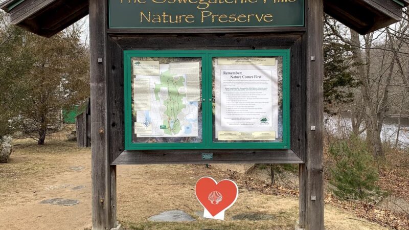 Oswegatchie Hills Nature Preserve - Niantic, CT